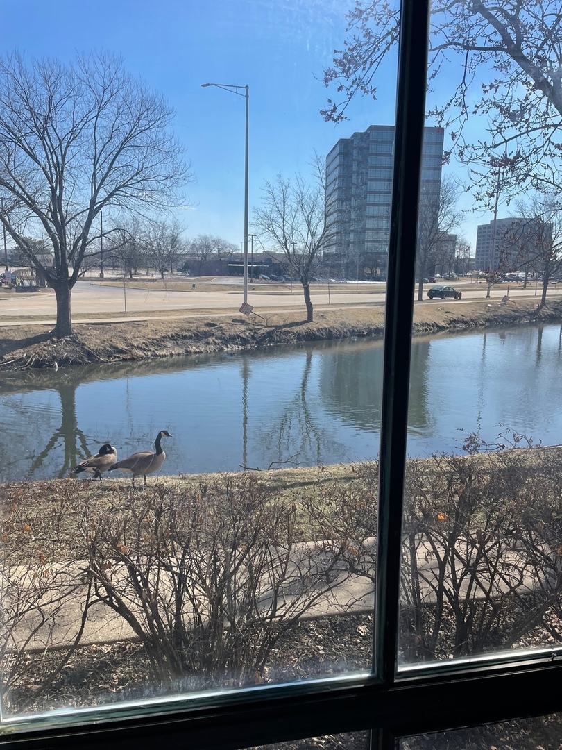 5500 Tinder, Unit 2 Rolling Meadows, IL 60008 - Photo 13 of 14 a view of a wooden floor and a lake view
