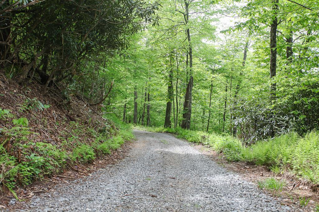 795 Porter Field Gap Road Robbinsville, NC 28771 - Photo 103 of 105