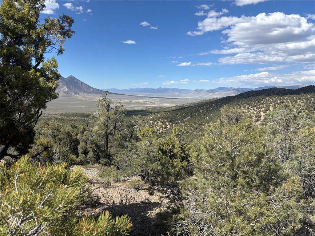 Off Of Lackawana Road Ely, NV 89301 - Photo 8 of 13 Breathtaking views encompass this serene landscape with rolling hills and distant mountain peaks.