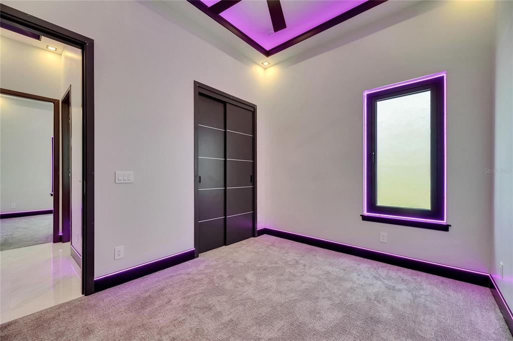 6532 Simone Shores Circle Apollo Beach, FL 33572 - Photo 14 of 86 an empty room with windows and closet