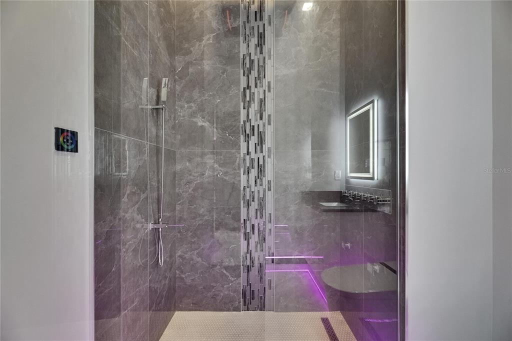 6532 Simone Shores Circle Apollo Beach, FL 33572 - Photo 22 of 86