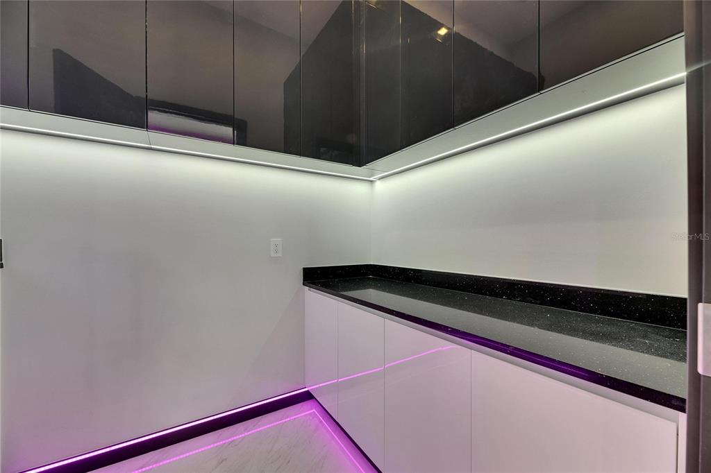 6532 Simone Shores Circle Apollo Beach, FL 33572 - Photo 42 of 86 a close view of closet