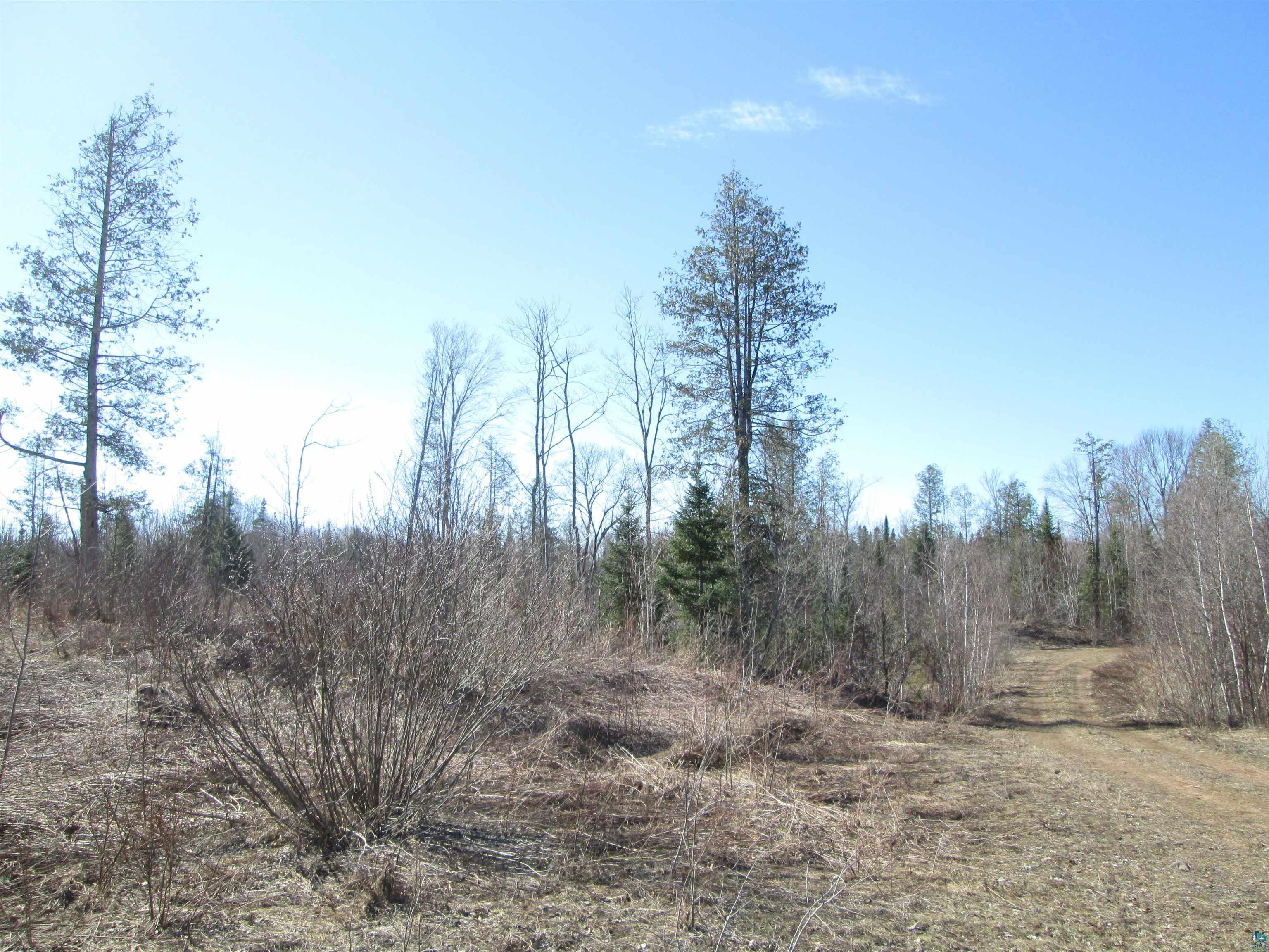 Lot 1-40 Acres County Road South Range, WI 54874 - Photo 24 of 35 Gallery Image 24