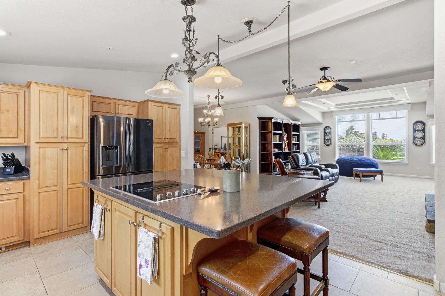 12390 Hobday Road Wilton, CA 95693 - Photo 23 of 92