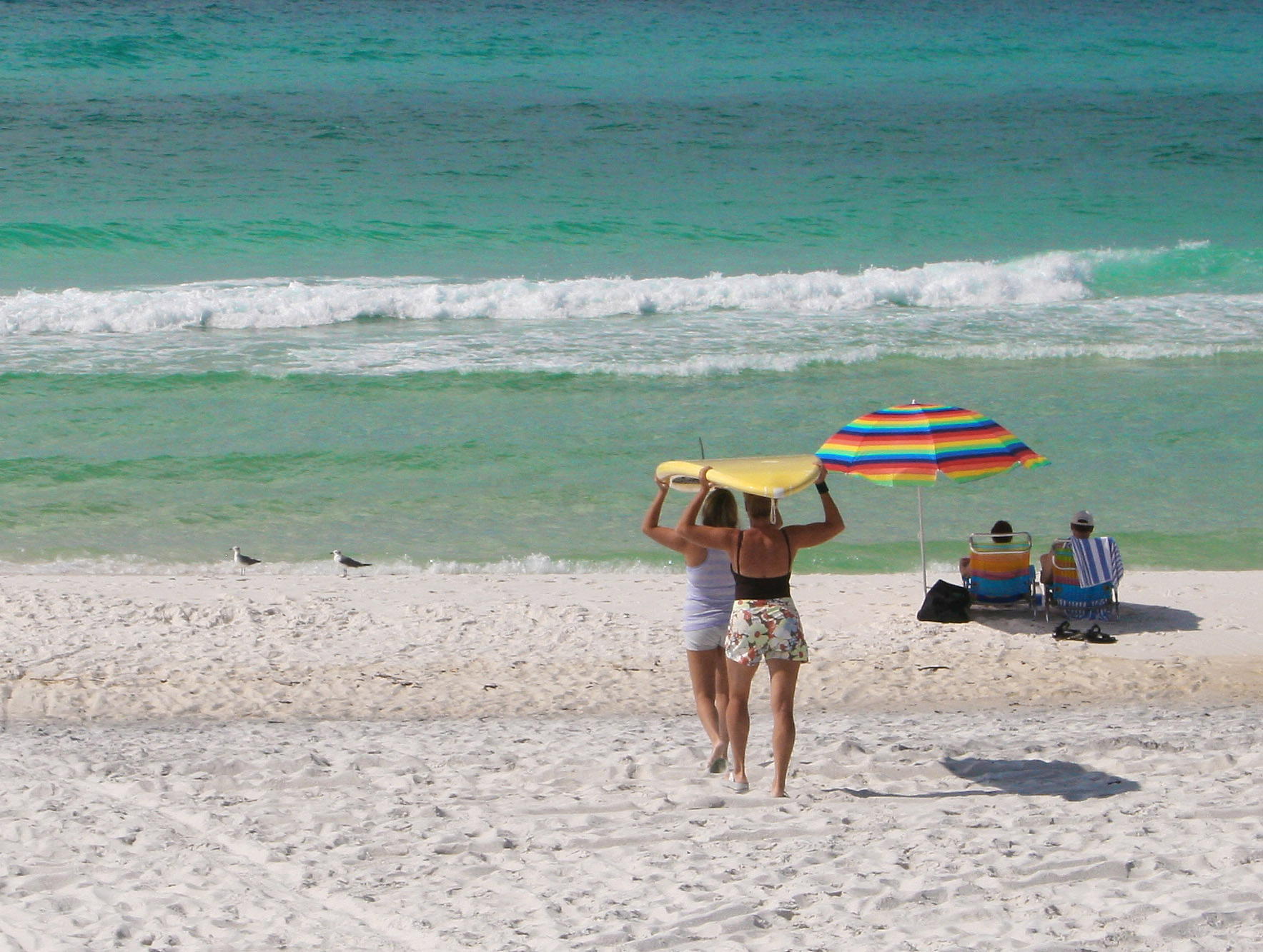 113 Gulfwinds Way Santa Rosa Beach, FL 32459 - Photo 18 of 19 Gallery Image 18