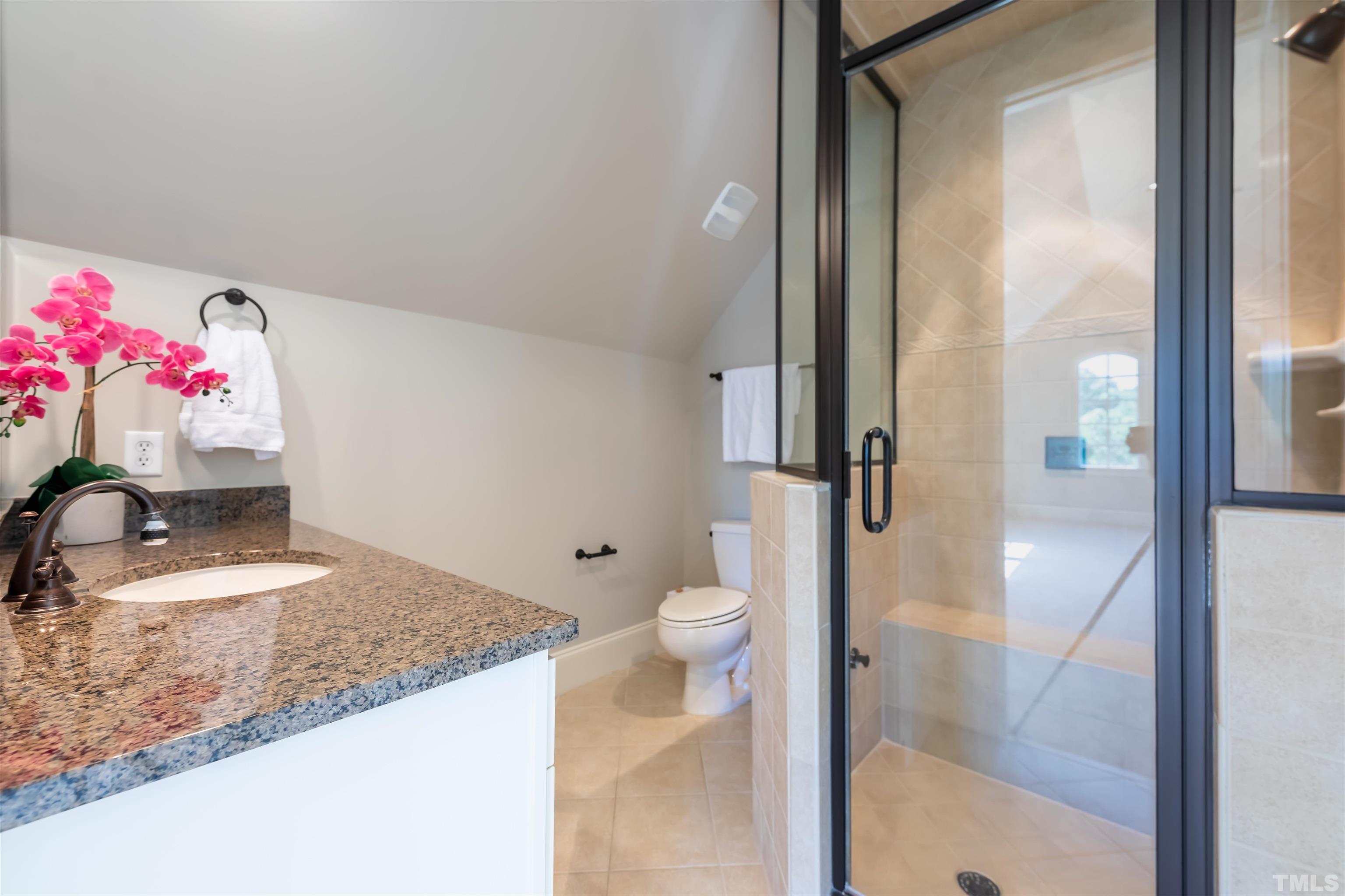 9805 Najma Street Raleigh, NC 27613 - Photo 24 of 29 a bathroom with a granite countertop sink a toilet and shower