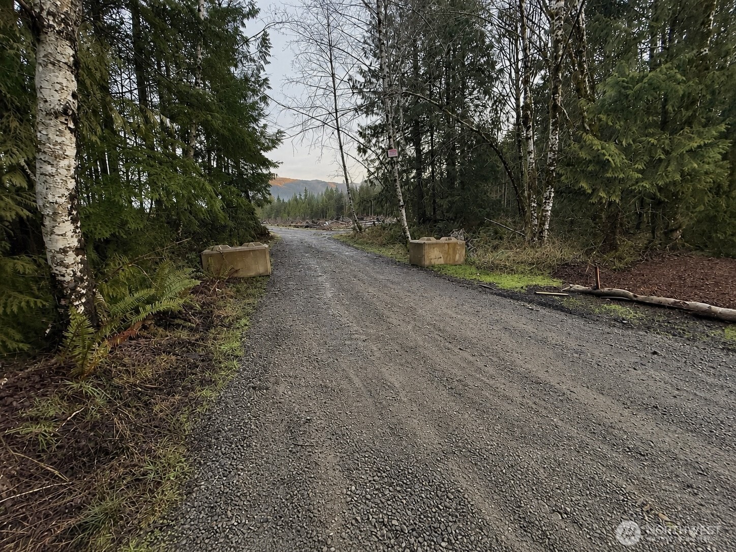 7507 Highway 101 Amanda Park, WA 98526 - Photo 24 of 30