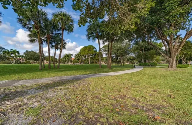 a view of field with trees