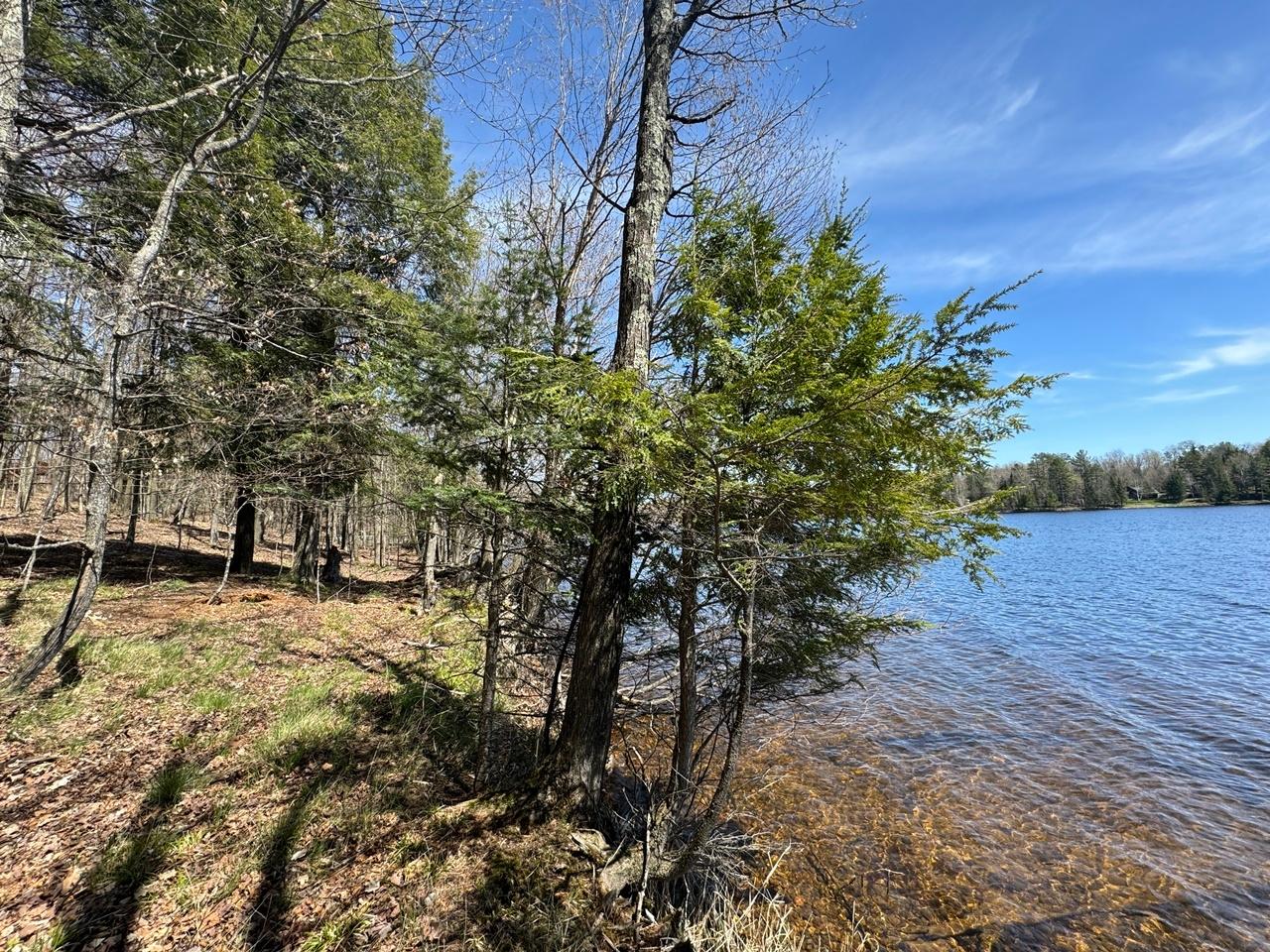 Lot 1 Black Forest Road Presque Isle, WI 54557 - Photo 3 of 18 Gallery Image 3