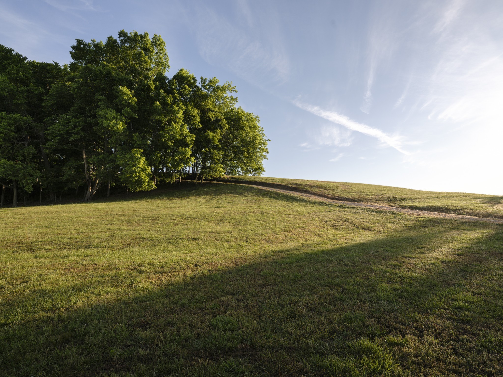 3210 Morel Road Columbia, TN 38401 - Photo 64 of 76 Gallery Image 64