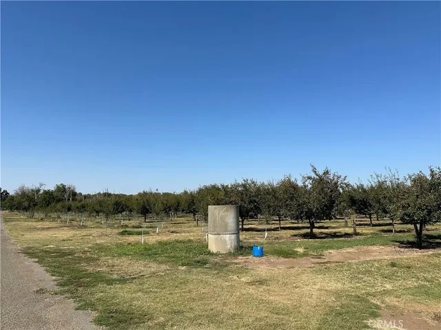 a view of a garden with a building in the background