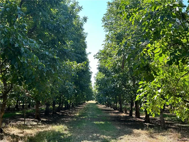 a view of backyard with green space