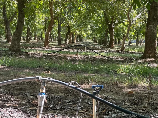a view of a street with large trees