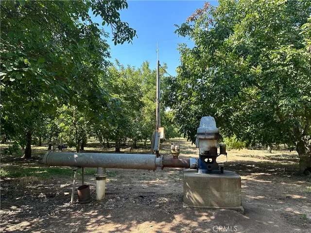 a view of a yard with large trees