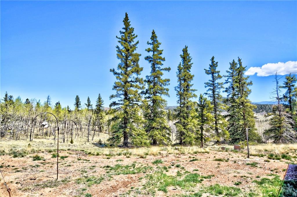 2151 Buffalo Ridge Road Como, CO 80456 - Photo 24 of 25 Gallery Image 24