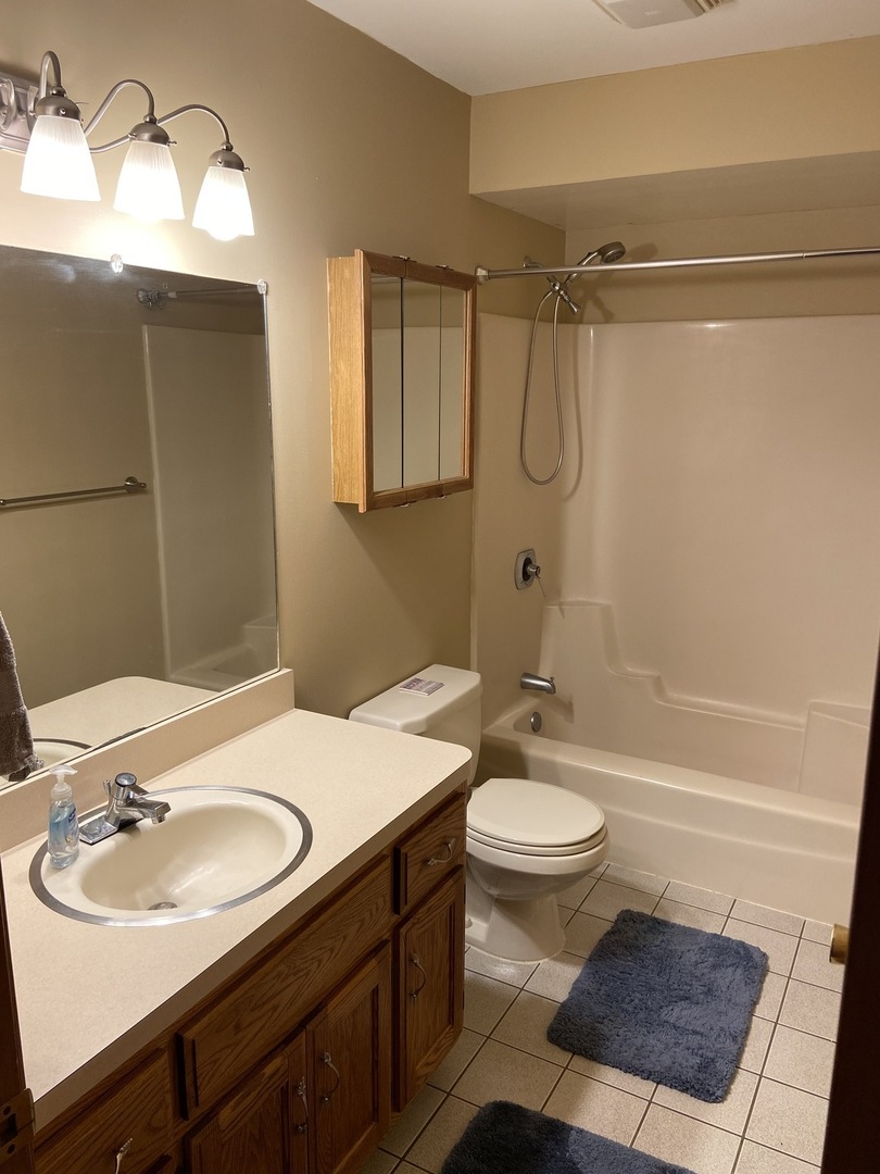 925 Knollside Road New Lenox, IL 60451 - Photo 17 of 32 a bathroom with a sink toilet and shower