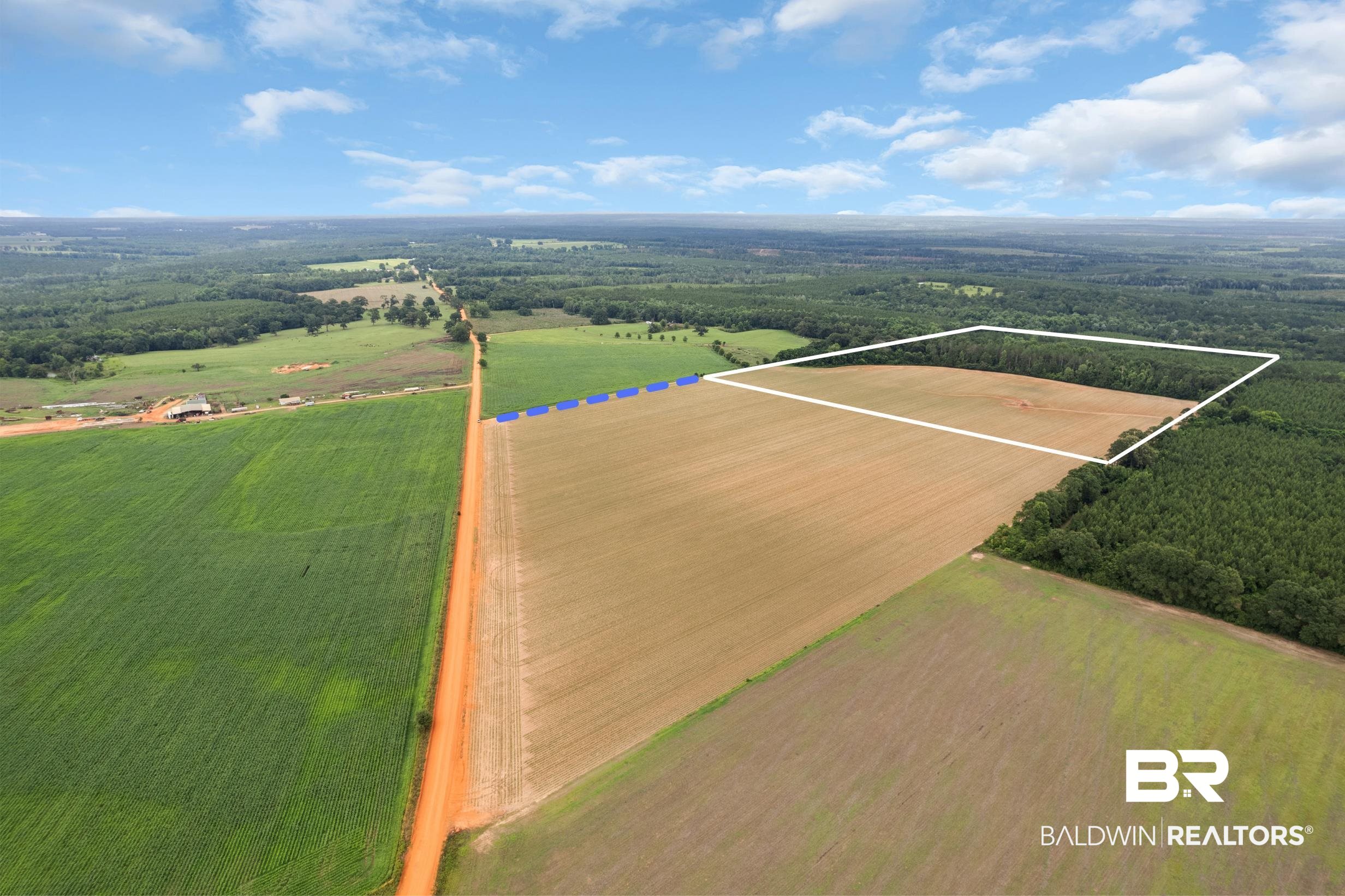 1 Old Stage Road Repton, AL 36475 - Photo 10 of 19 Gallery Image 10
