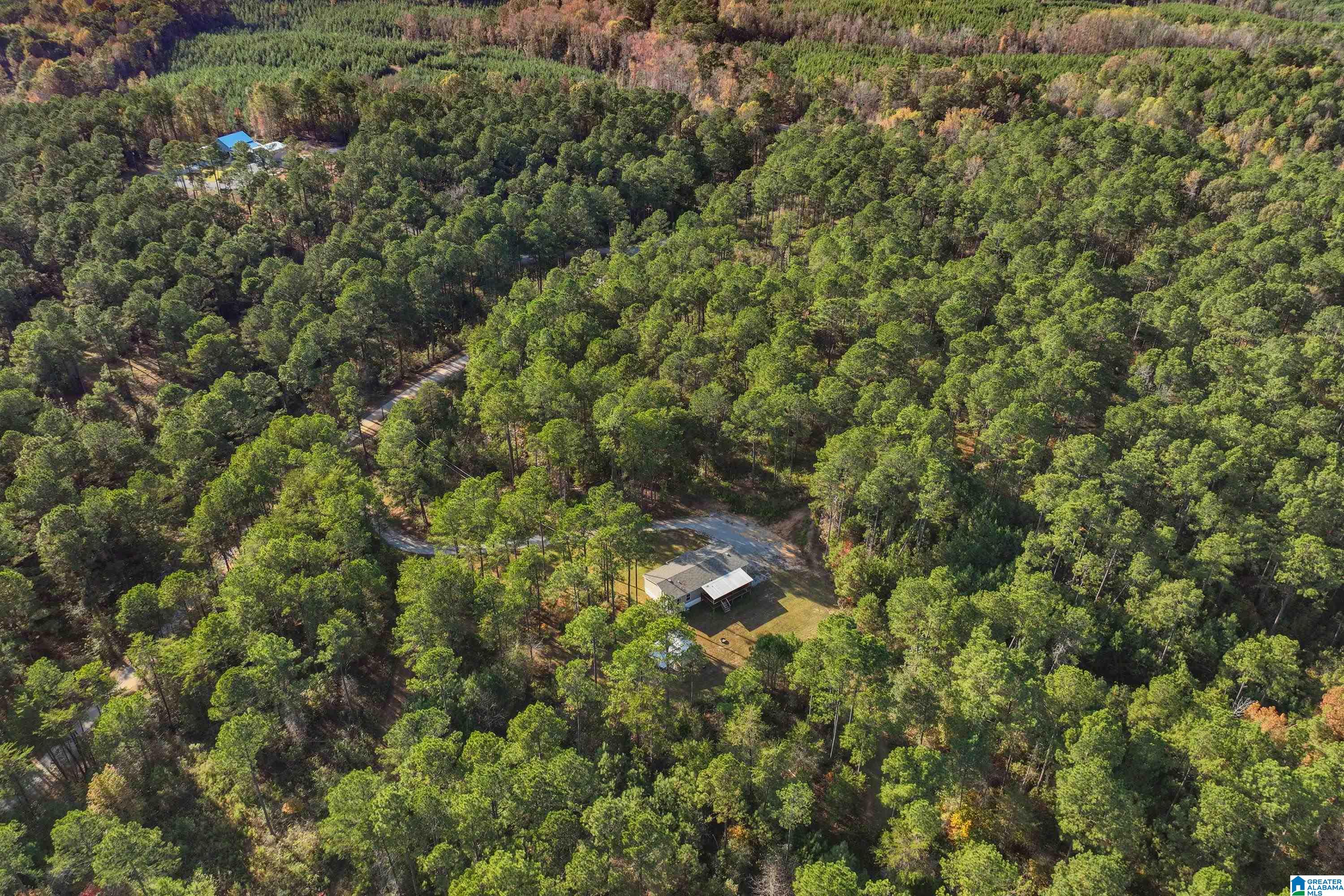 203 Gould Road Columbiana, AL 35051 - Photo 46 of 56