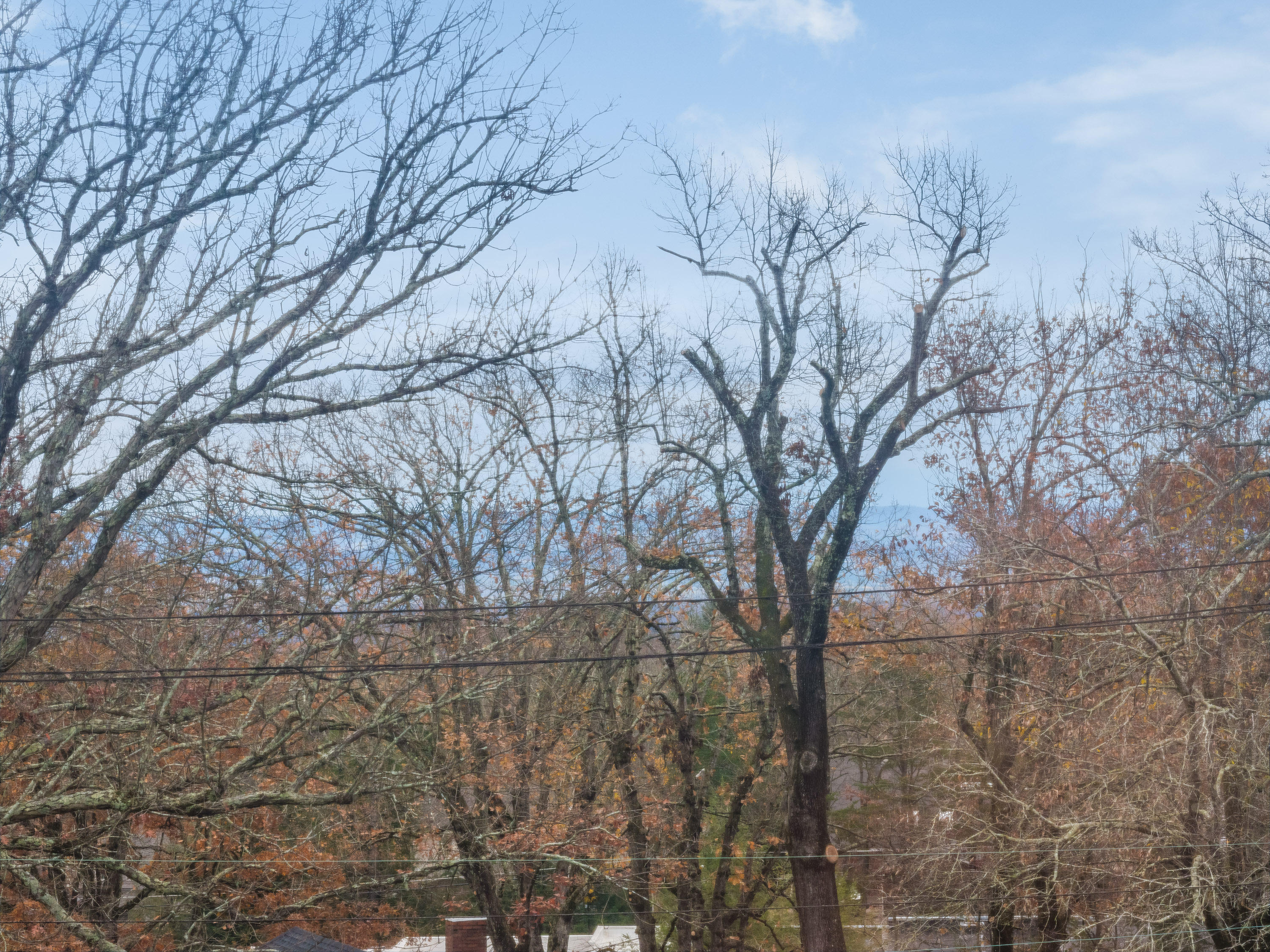 604 West Sunset Road Lookout Mountain, TN 37350 - Photo 35 of 38 604_W_Sunset_Rd_10