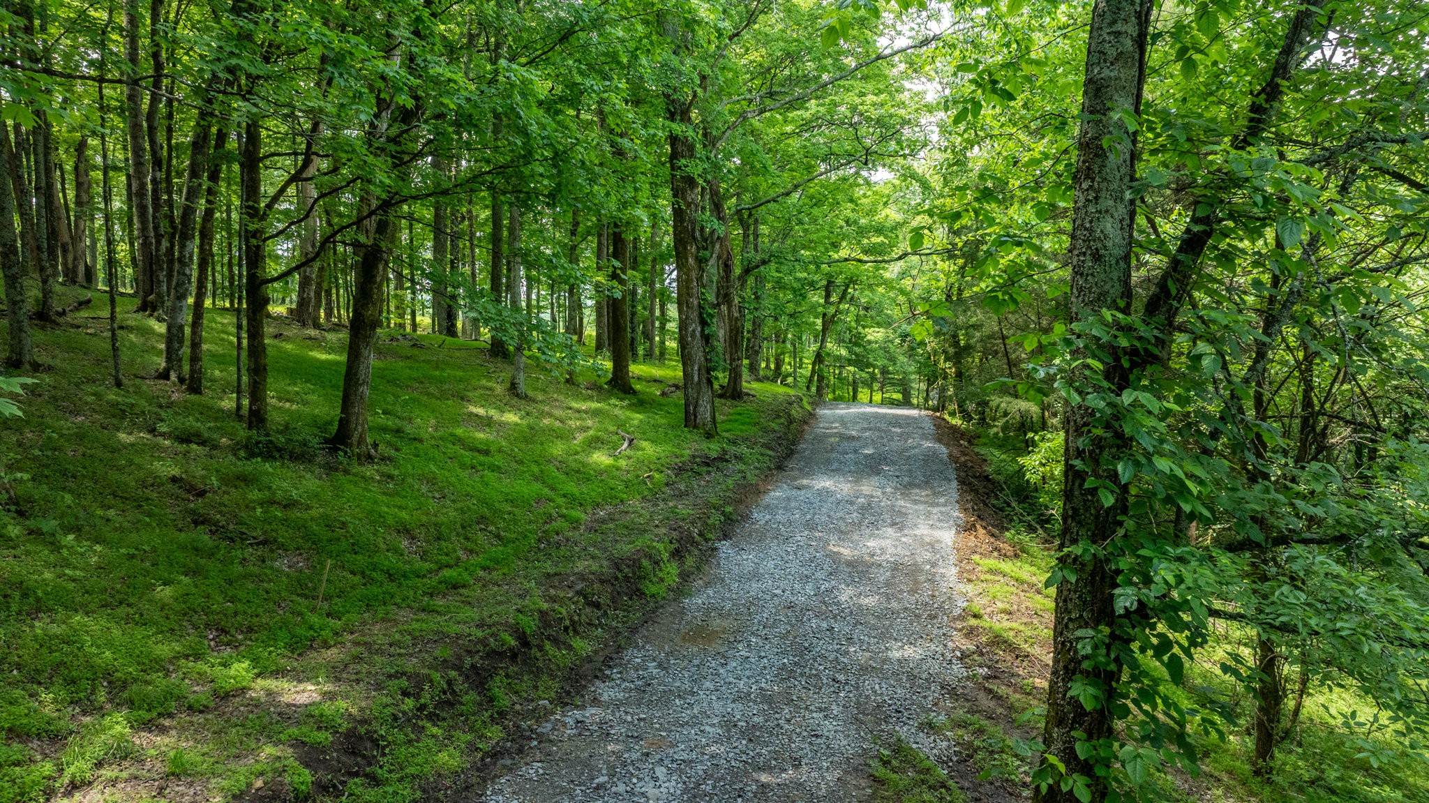 1659 Guy Ferrell Road Franklin, TN 37067 - Photo 11 of 33