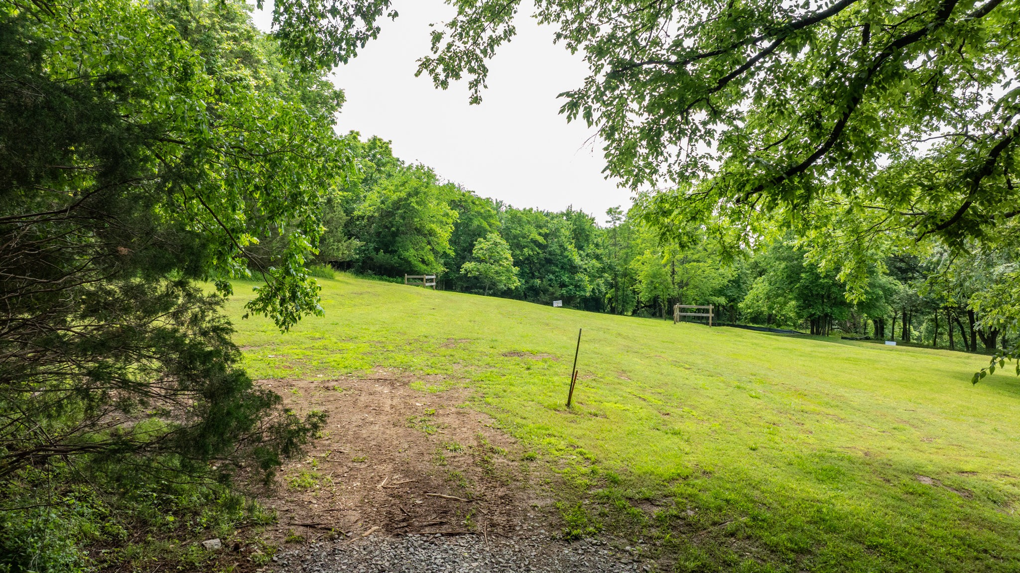 1659 Guy Ferrell Road Franklin, TN 37067 - Photo 13 of 33