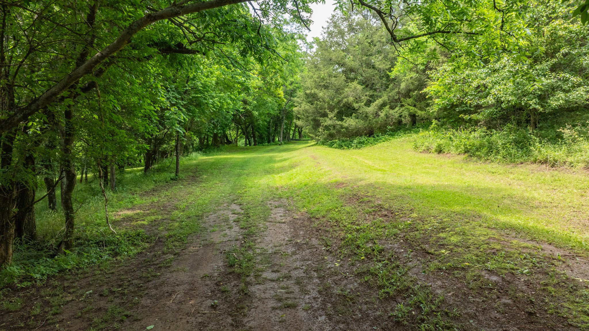 1659 Guy Ferrell Road Franklin, TN 37067 - Photo 17 of 33