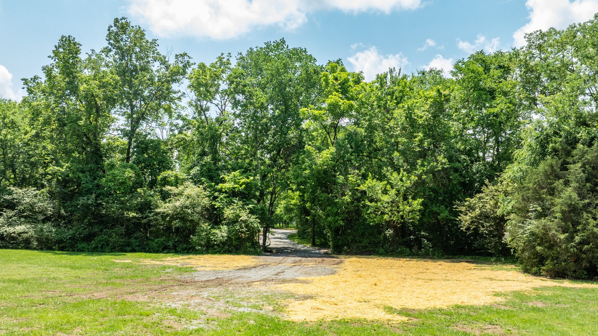 1659 Guy Ferrell Road Franklin, TN 37067 - Photo 4 of 33