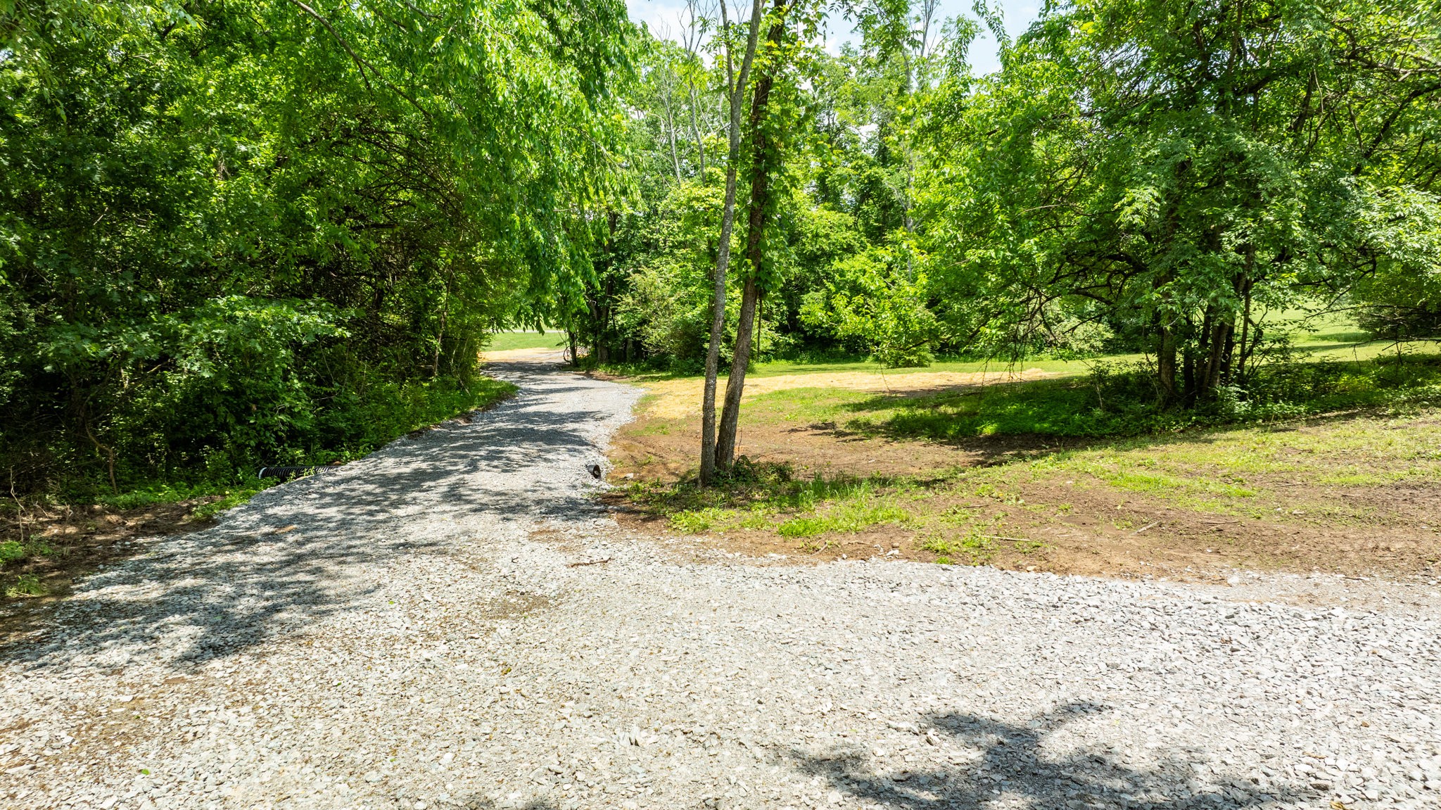 1659 Guy Ferrell Road Franklin, TN 37067 - Photo 6 of 33