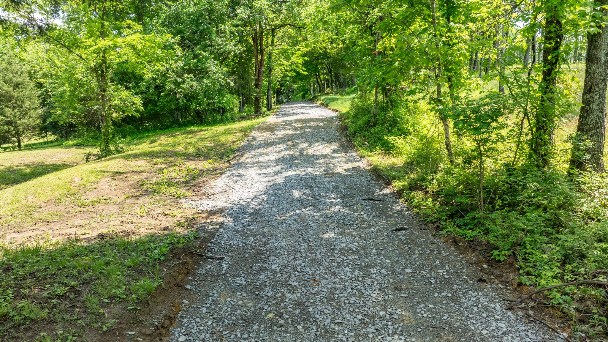 1659 Guy Ferrell Road Franklin, TN 37067 - Photo 7 of 33