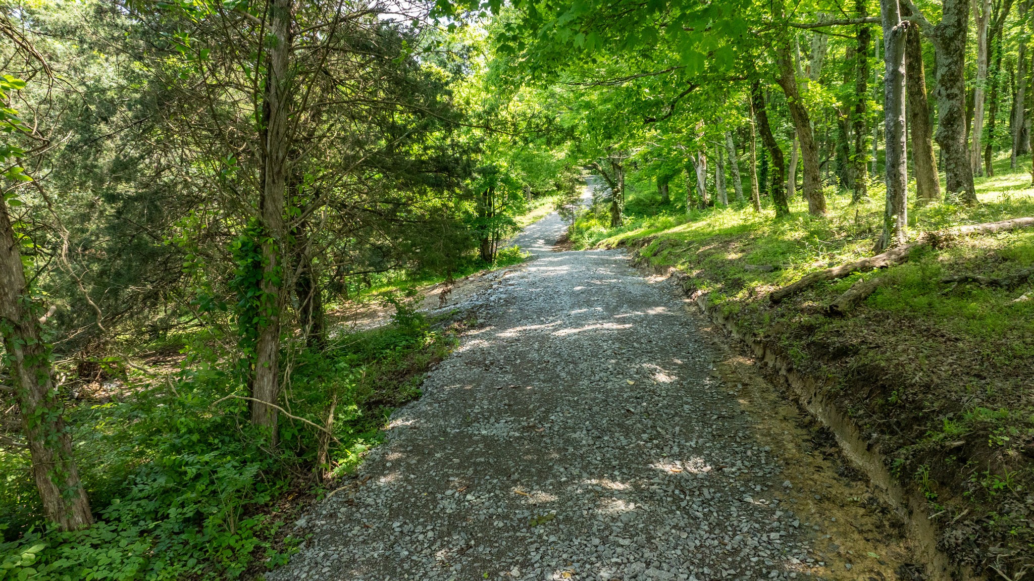 1659 Guy Ferrell Road Franklin, TN 37067 - Photo 8 of 33