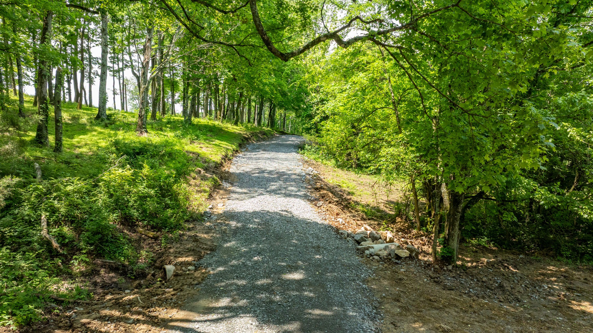 1659 Guy Ferrell Road Franklin, TN 37067 - Photo 9 of 33