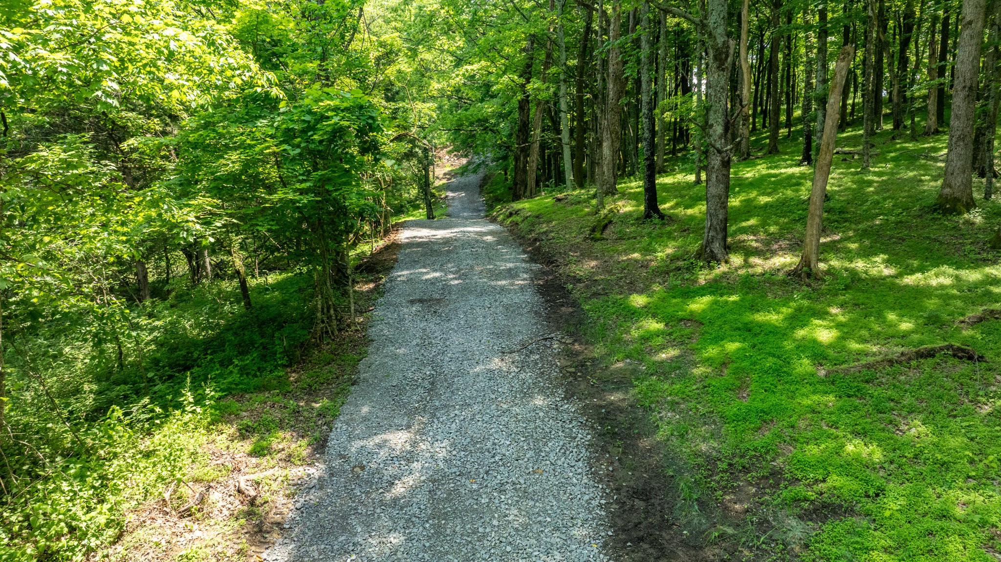 1659 Guy Ferrell Road Franklin, TN 37067 - Photo 10 of 33