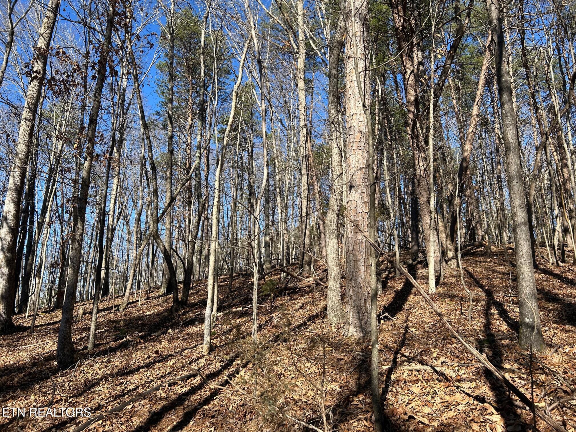 5737 Rest Camp Road Lenoir City, TN 37772 - Photo 11 of 13 IMG_5061