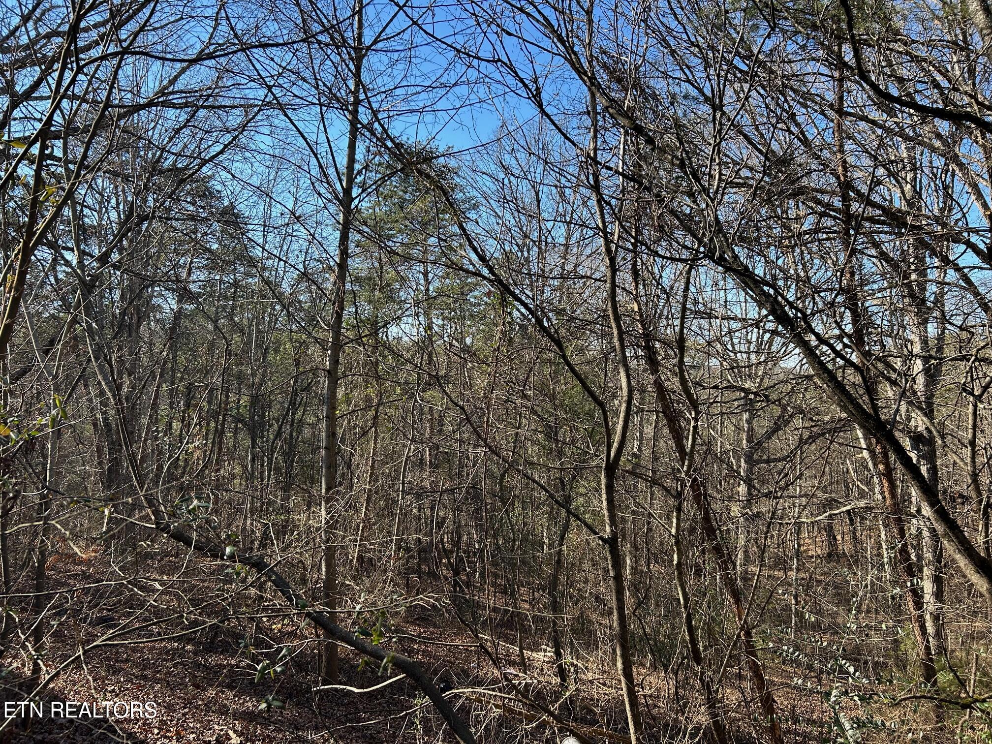 5737 Rest Camp Road Lenoir City, TN 37772 - Photo 3 of 13 IMG_5052