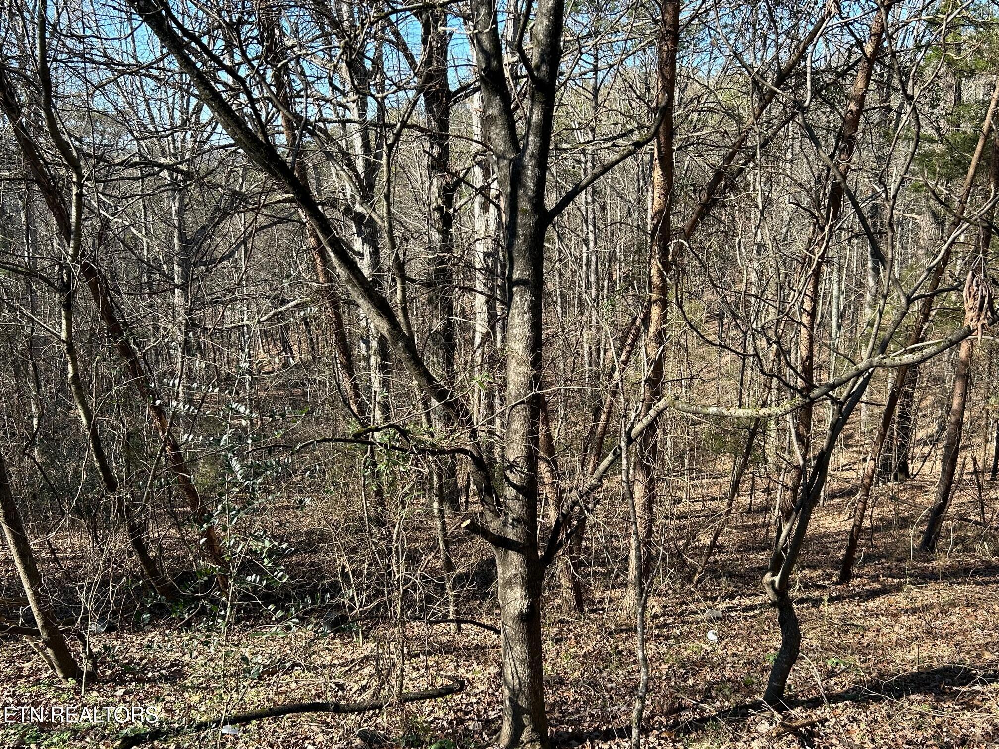 5737 Rest Camp Road Lenoir City, TN 37772 - Photo 4 of 13 IMG_5053