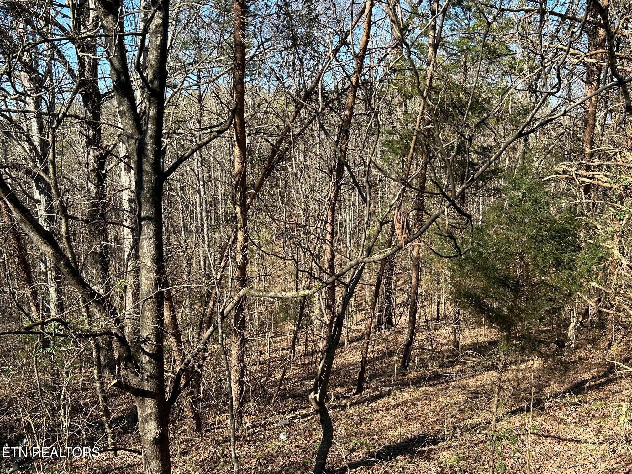 5737 Rest Camp Road Lenoir City, TN 37772 - Photo 5 of 13 IMG_5054