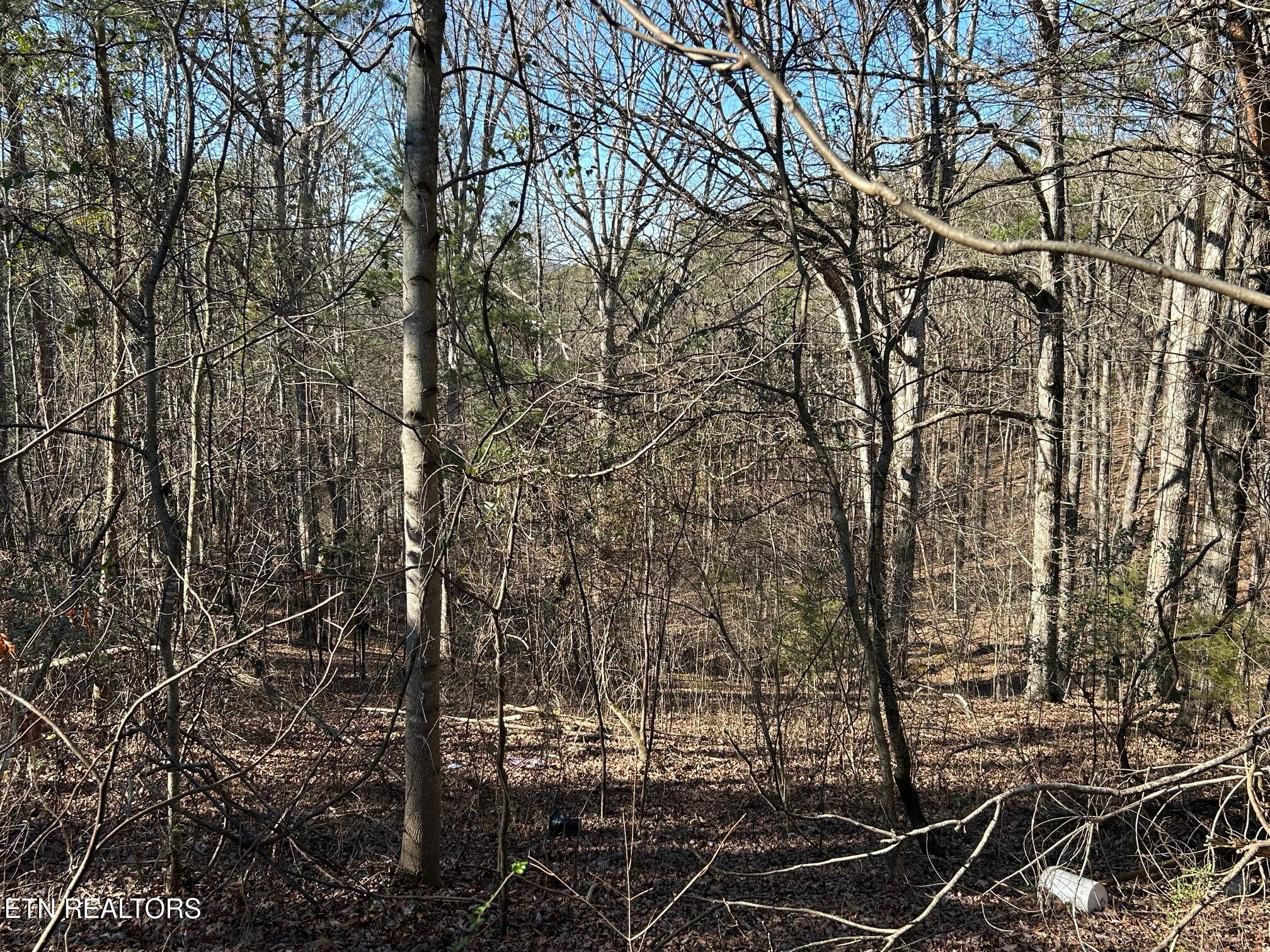 5737 Rest Camp Road Lenoir City, TN 37772 - Photo 6 of 13 IMG_5055