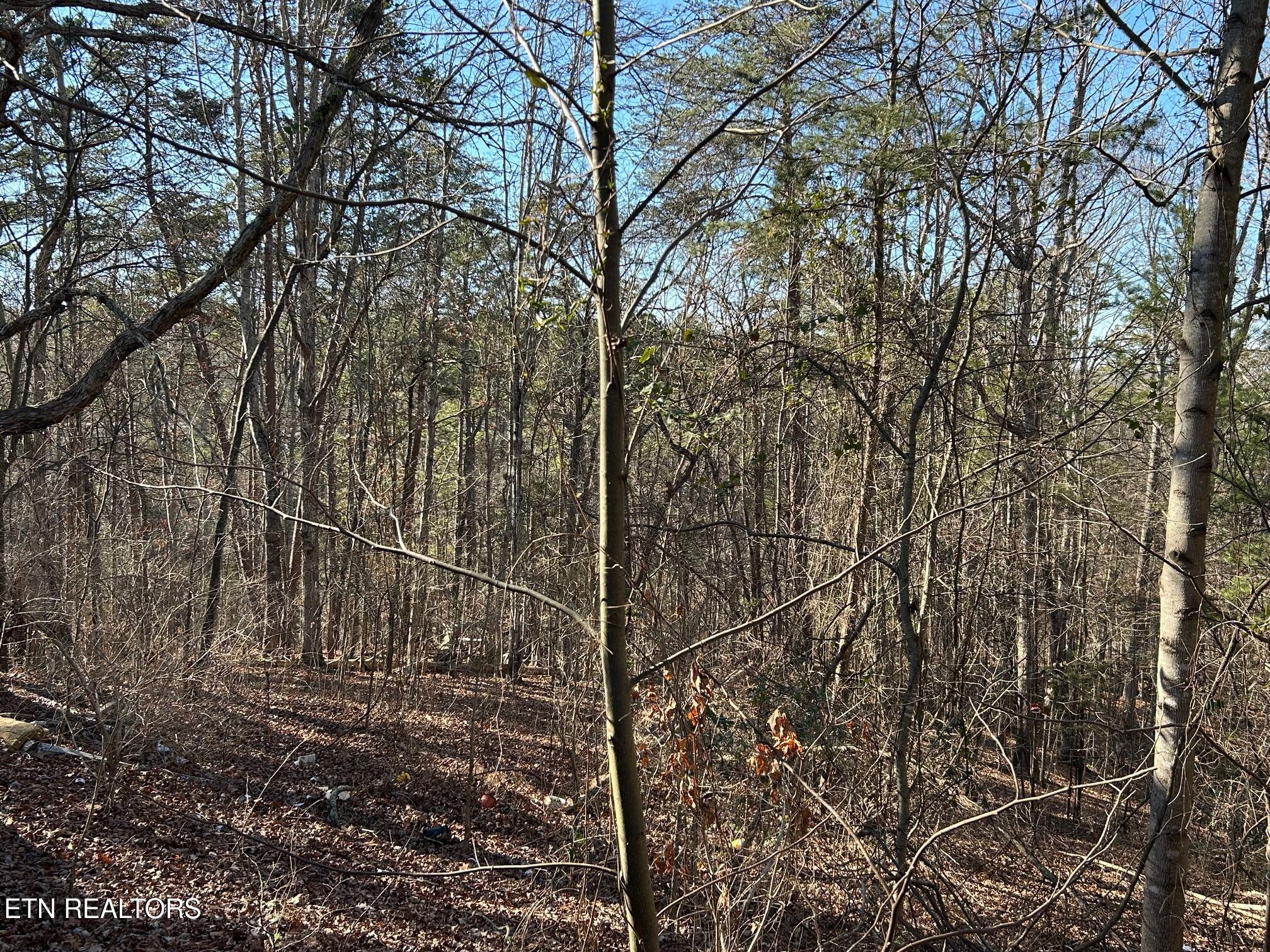 5737 Rest Camp Road Lenoir City, TN 37772 - Photo 7 of 13 IMG_5056