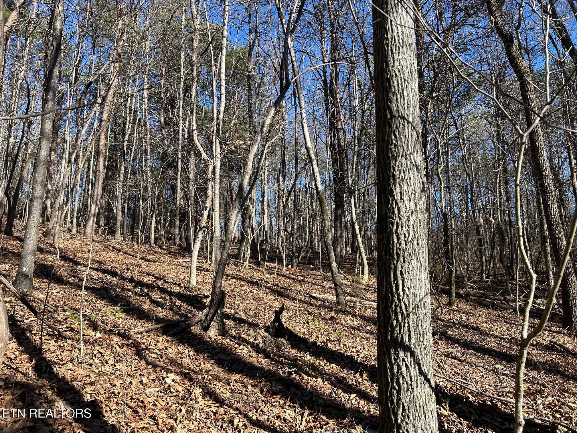 5737 Rest Camp Road Lenoir City, TN 37772 - Photo 8 of 13 IMG_5057