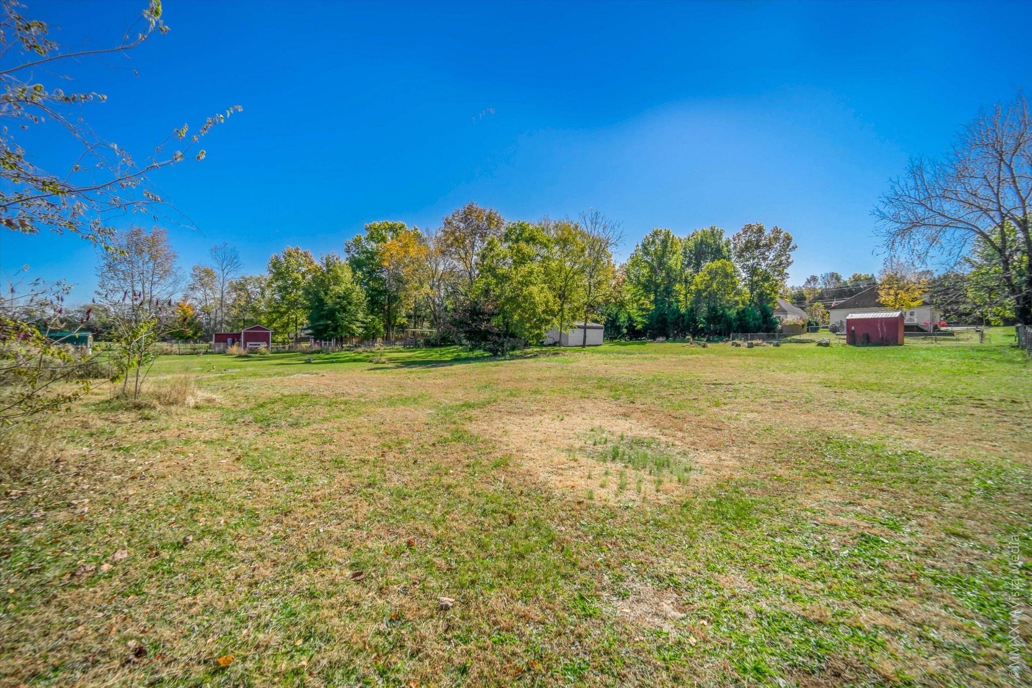 14908 Mt Pleasant Road Rockvale, TN 37153 - Photo 31 of 33 a view of a field with an trees in the background