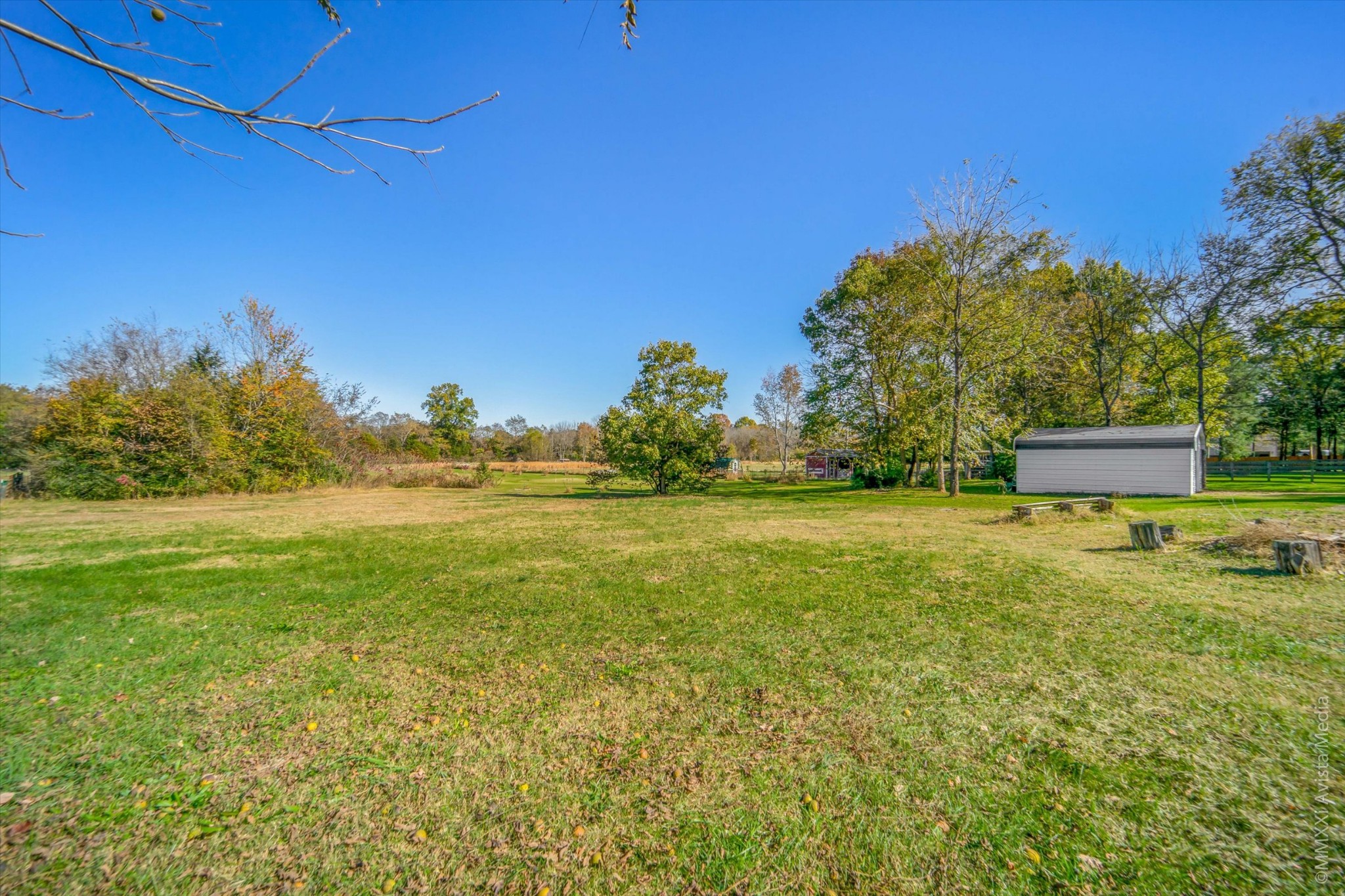 14908 Mt Pleasant Road Rockvale, TN 37153 - Photo 32 of 33 a view of a yard