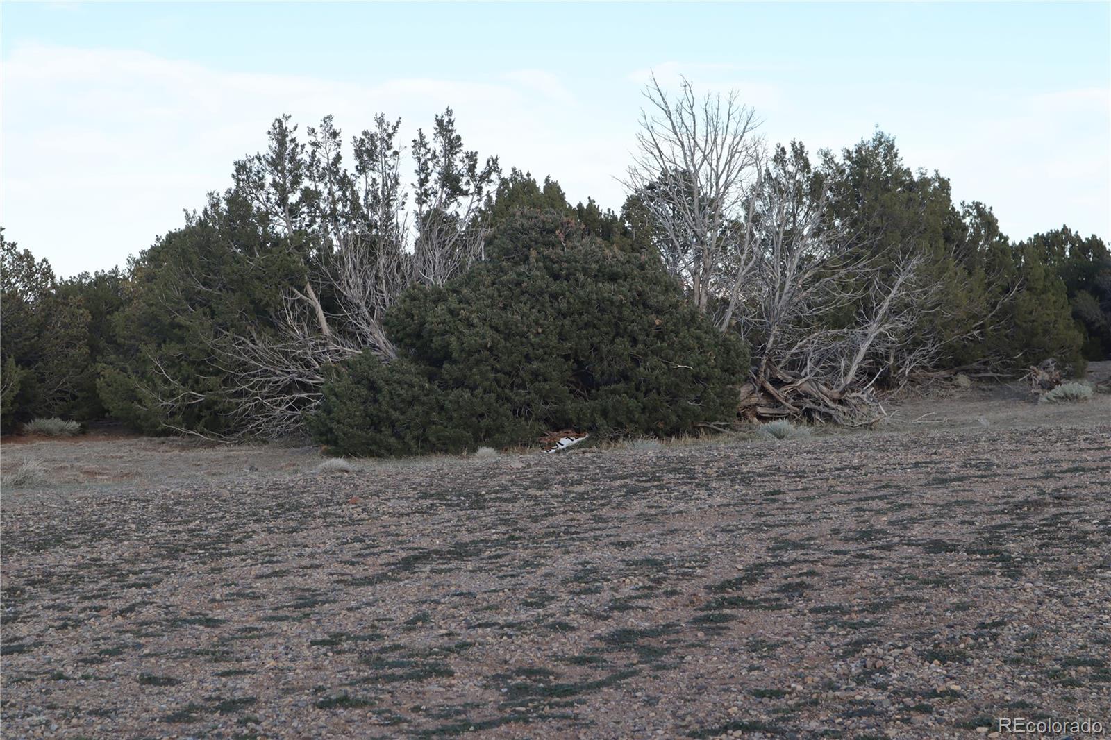 Ridge Road Walsenburg, CO 81089 - Photo 15 of 26 Gallery Image 15