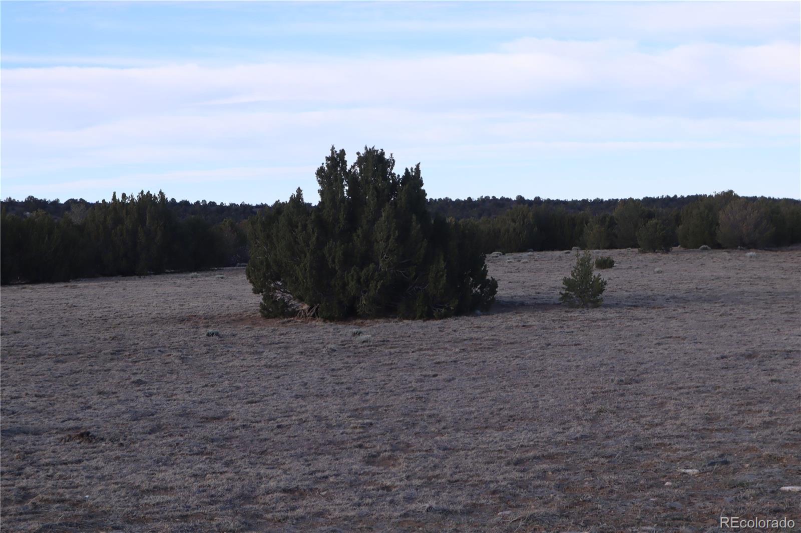 Ridge Road Walsenburg, CO 81089 - Photo 16 of 26 Gallery Image 16