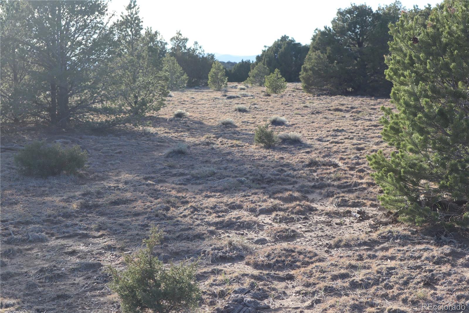 Ridge Road Walsenburg, CO 81089 - Photo 8 of 26 Gallery Image 8