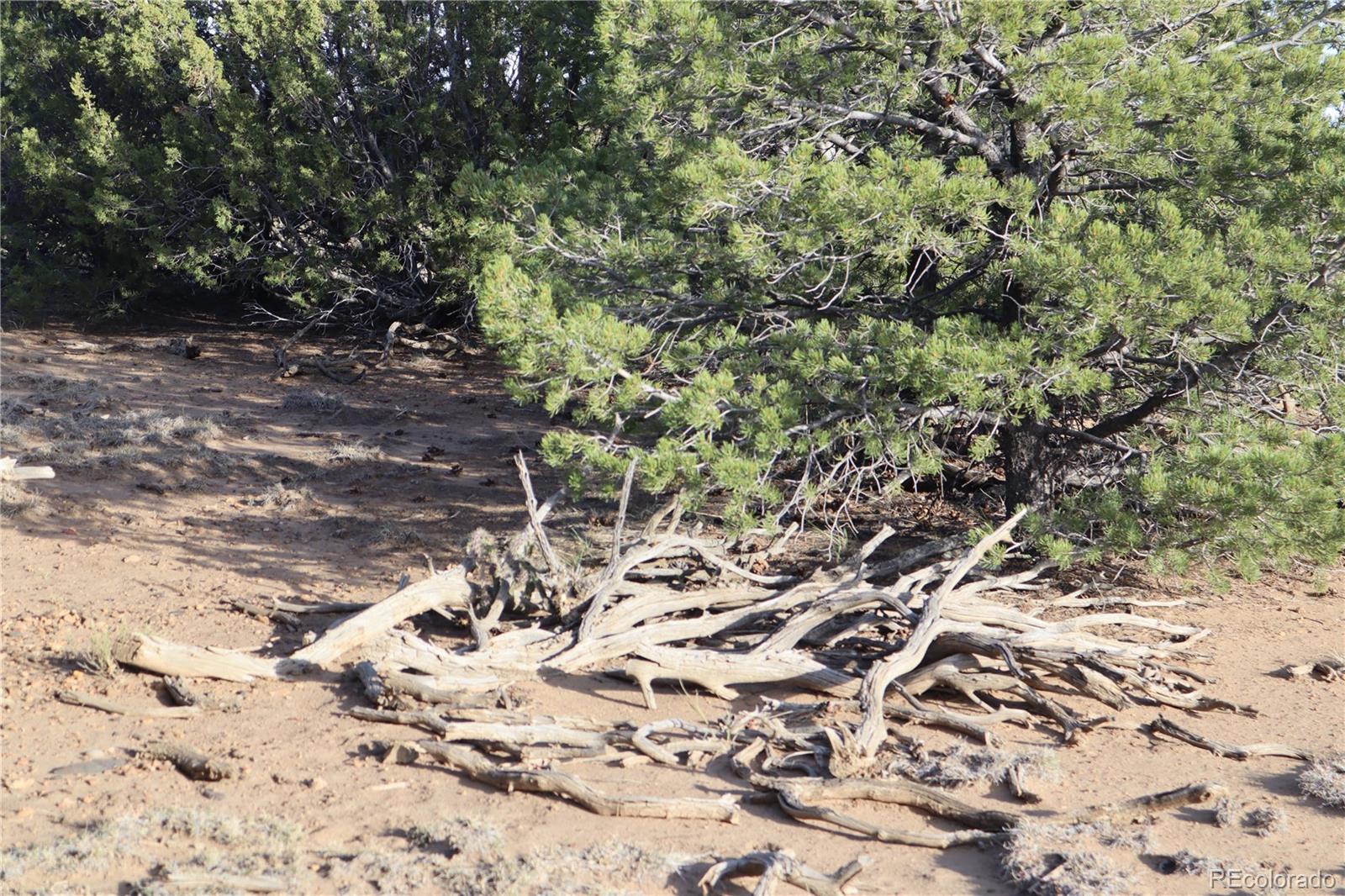 Ridge Road Walsenburg, CO 81089 - Photo 9 of 26 Gallery Image 9