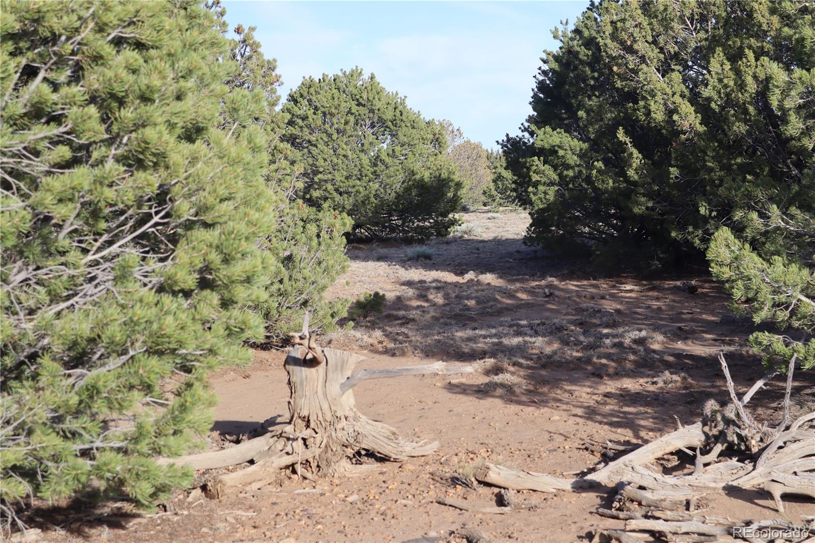 Ridge Road Walsenburg, CO 81089 - Photo 10 of 26 Gallery Image 10