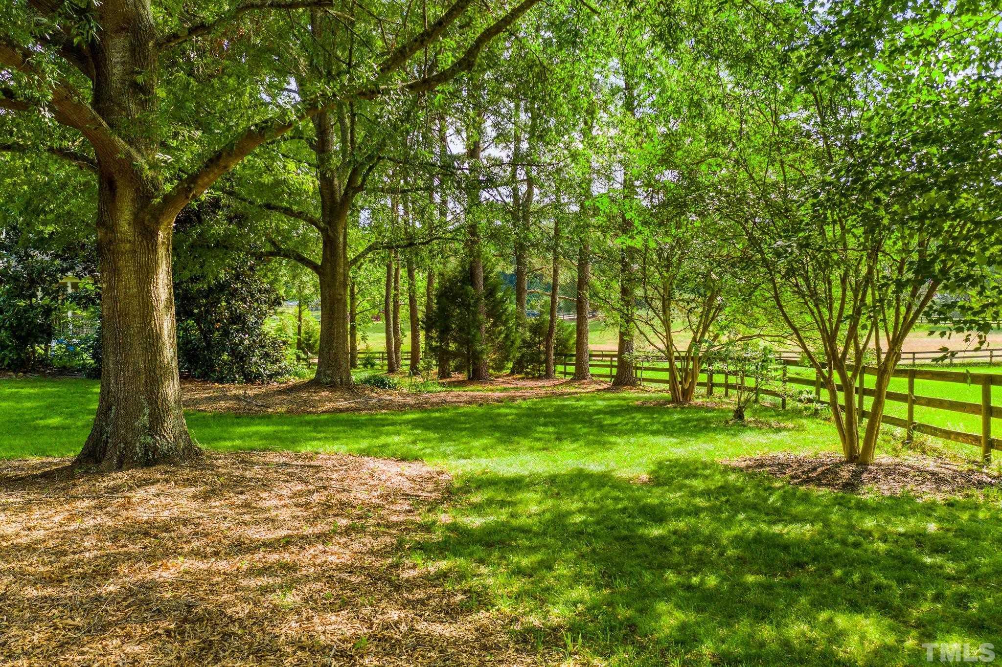 8737 Castleberry Road Apex, NC 27523 - Photo 12 of 99