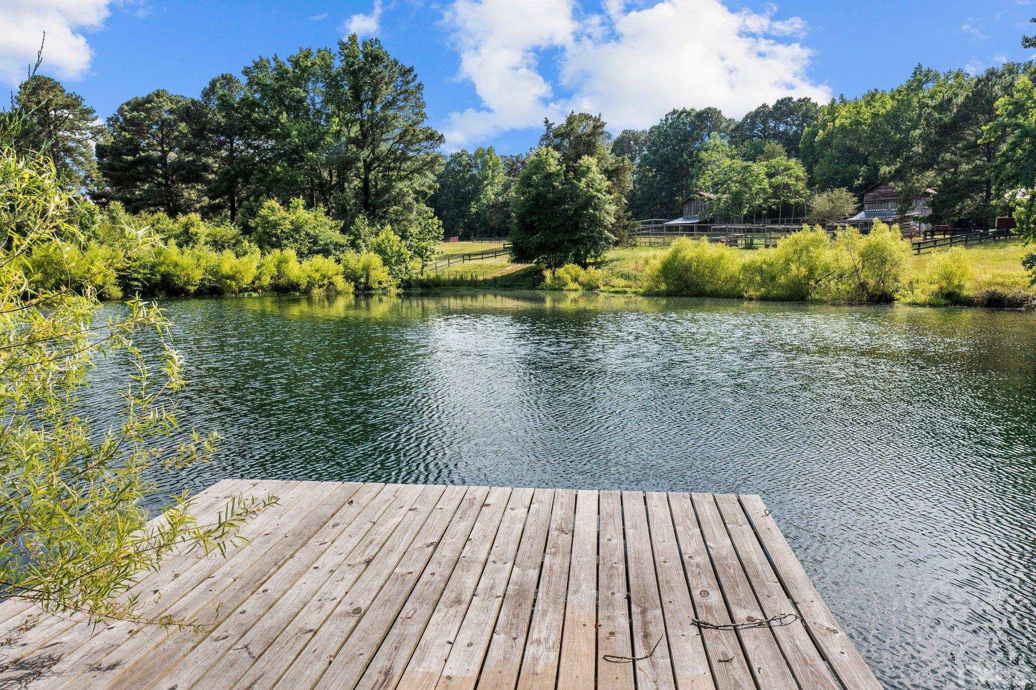 8737 Castleberry Road Apex, NC 27523 - Photo 15 of 99