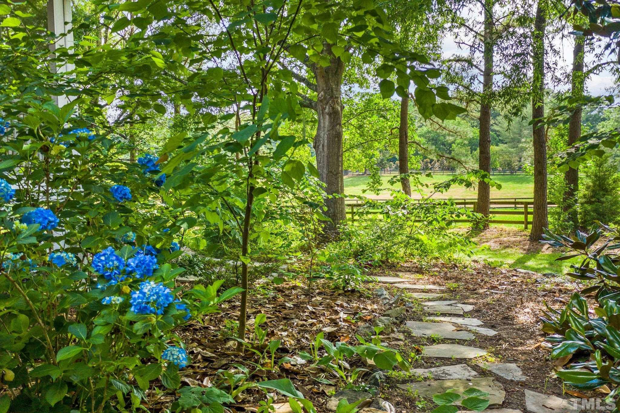8737 Castleberry Road Apex, NC 27523 - Photo 19 of 99