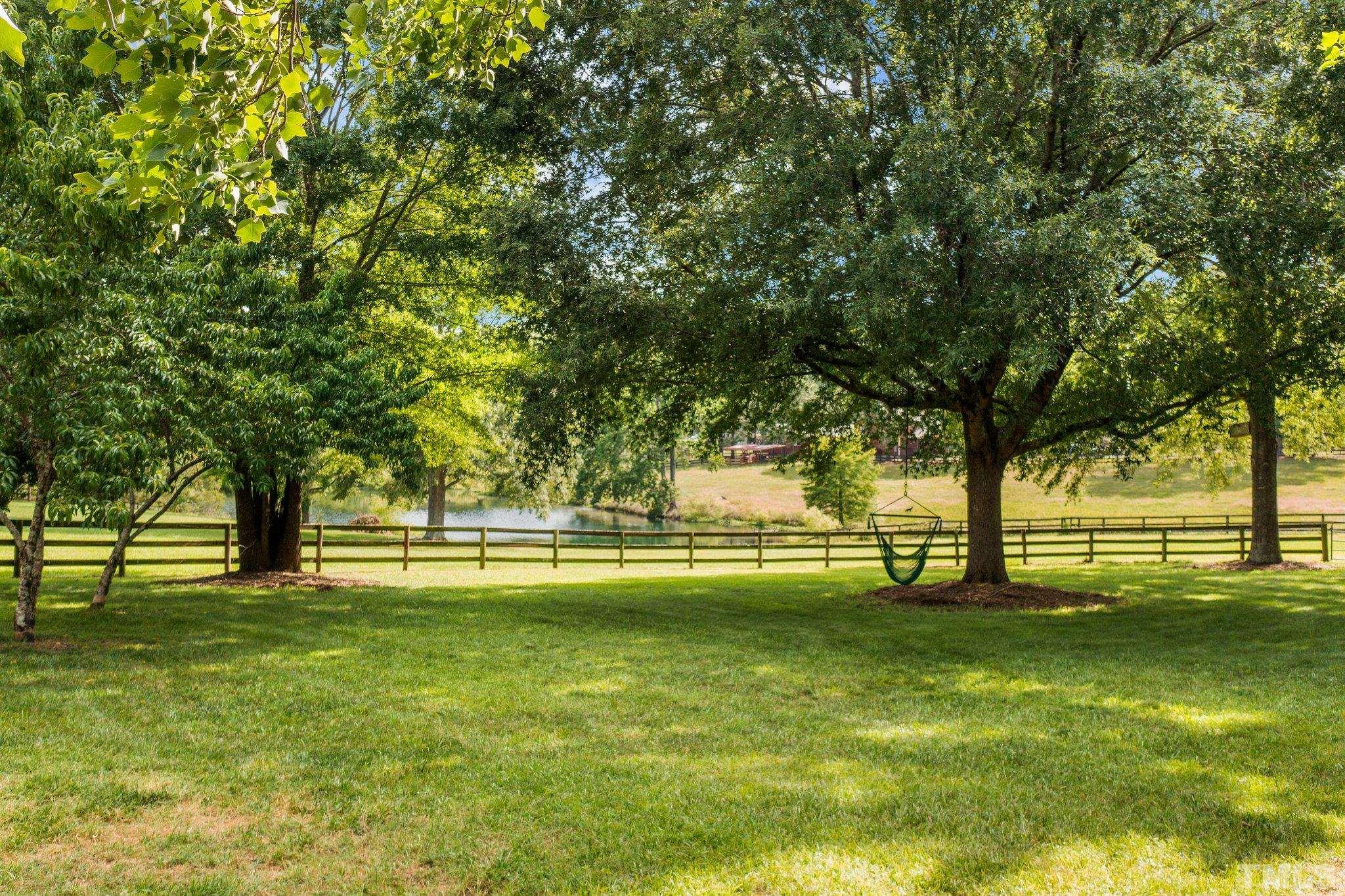 8737 Castleberry Road Apex, NC 27523 - Photo 21 of 99 Pick from your own trees: Cherry, Fig, Apple, Peaches, grapes and pomegranate! (And some blueberries!)